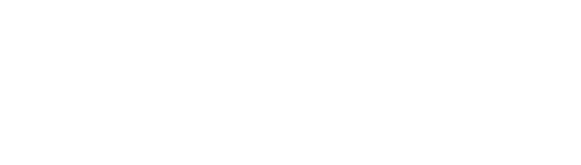 Negative CO2 project logo